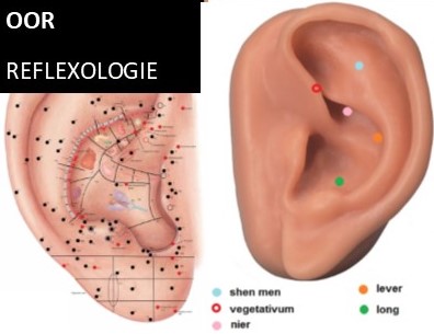 ooracupunctuur/oorreflexologie eindhoven